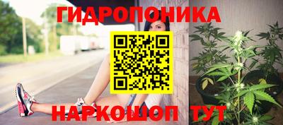 прущая мука Будённовск