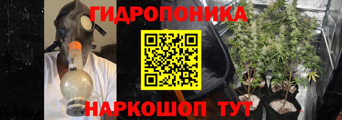 Канабис OG Kush  Бошки марихуана гибрид  Вход с VPN  Марихуана VHQ  Пенза 